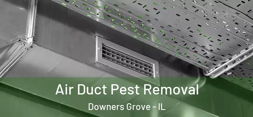 Air Duct Pest Removal Downers Grove - IL