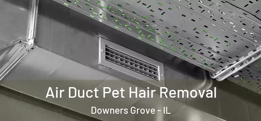 Air Duct Pet Hair Removal Downers Grove - IL