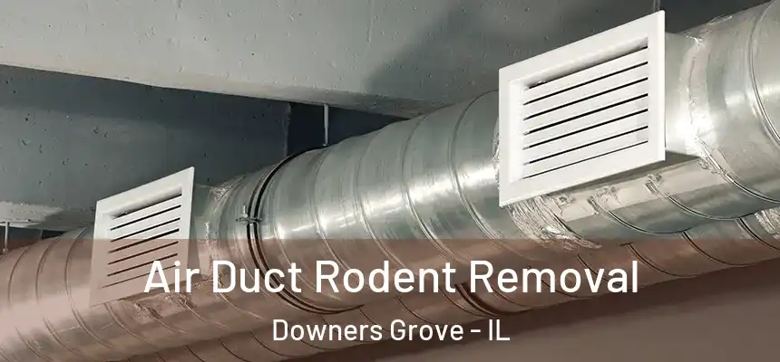 Air Duct Rodent Removal Downers Grove - IL