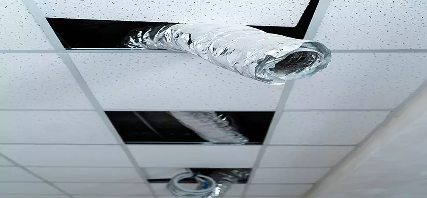 Affordable HVAC Sanitizing After Pest Removal in Downers Grove