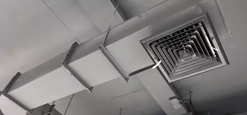 Our Pest Removal From Ducts Services in Downers Grove, IL