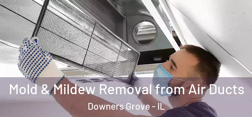 Mold & Mildew Removal from Air Ducts Downers Grove - IL