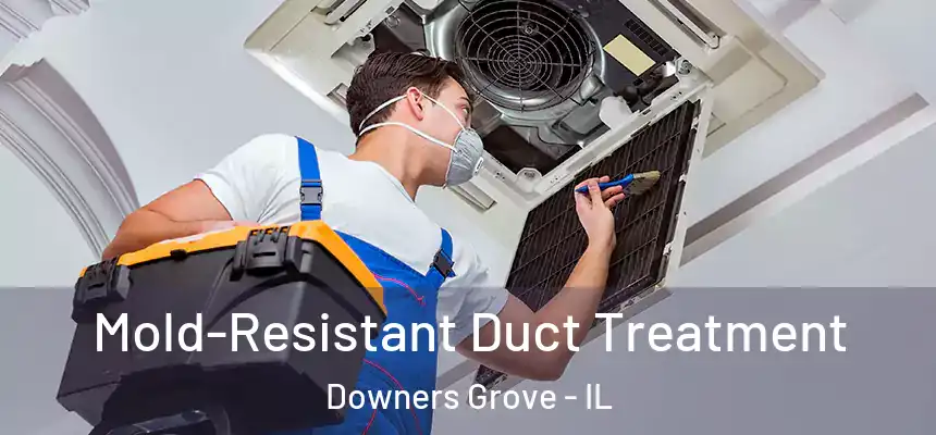 Mold-Resistant Duct Treatment Downers Grove - IL