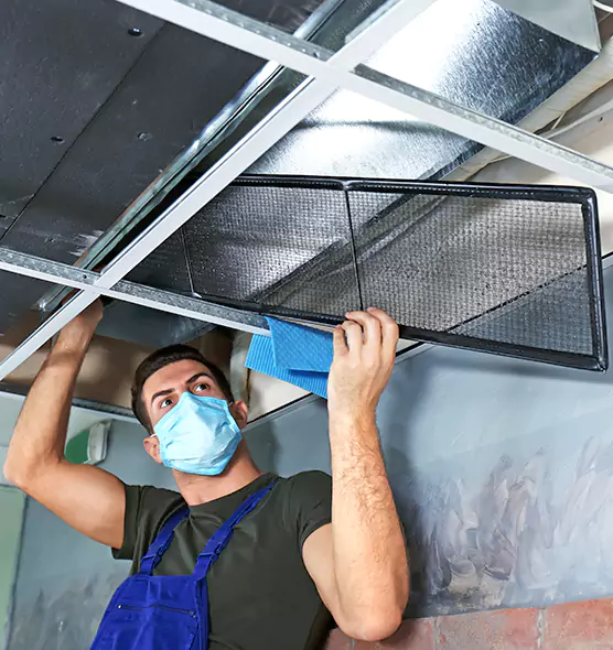 About Air Duct Bacteria Removal in Downers Grove