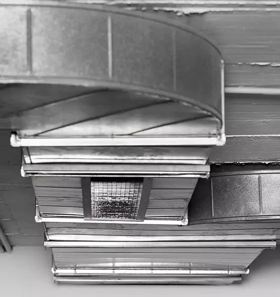 Professional Air Duct Pest Removal in Downers Grove, IL