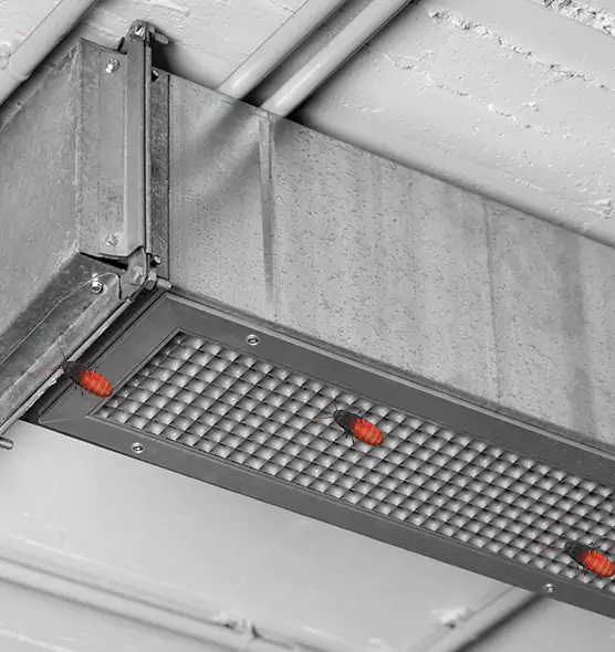 Affordable Insect Removal from Air Ducts in Downers Grove, IL