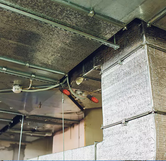 Why Homeowners & Businesses Trust Us Downers Grove, IL?