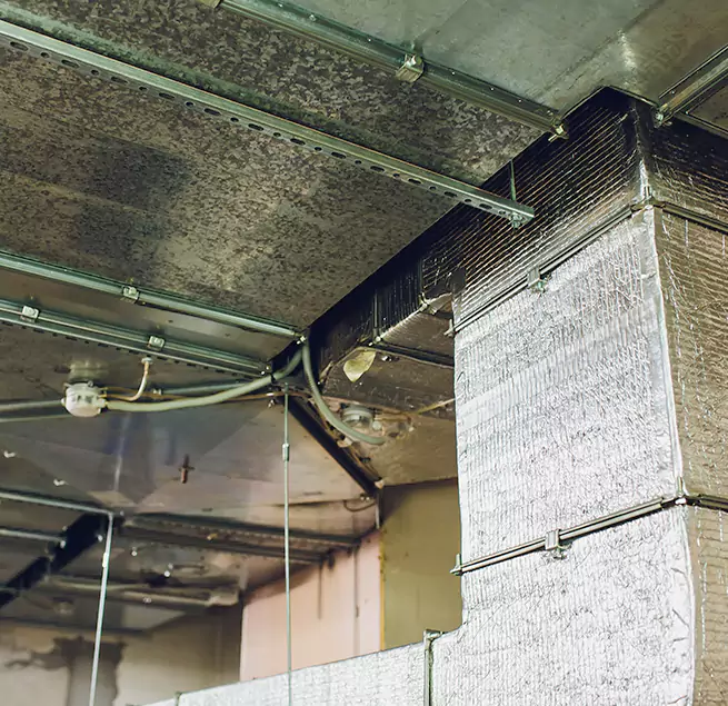 Why Homeowners & Businesses Trust Us in Downers Grove, IL?