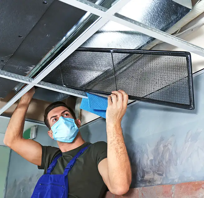 Why Homeowners & Businesses Trust Us in Downers Grove, IL?